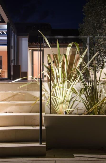 Villa Des Jacinthes Tarascon Dış mekan fotoğraf
