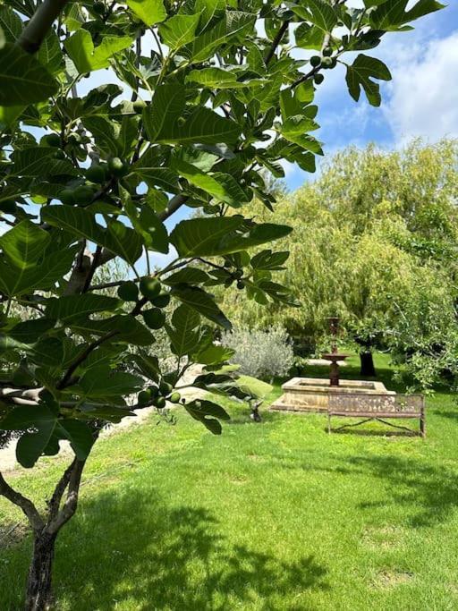 Villa Des Jacinthes Tarascon Dış mekan fotoğraf