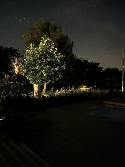 Villa Des Jacinthes Tarascon Dış mekan fotoğraf