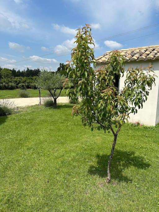 Villa Des Jacinthes Tarascon Dış mekan fotoğraf